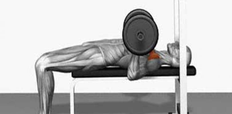 bench press za bol u lakatnom zglobu u zglobovima uzrokuje bol